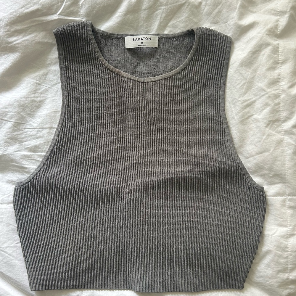 Babaton Gray Ribbed Crop Tank Top